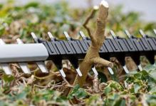 Bosch Akkus sövénynyíró GHE 18V-60 06008C9000