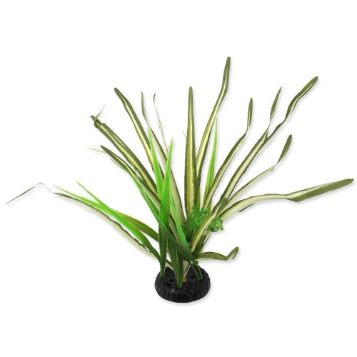 Spartina fű növény 30 cm 1 db