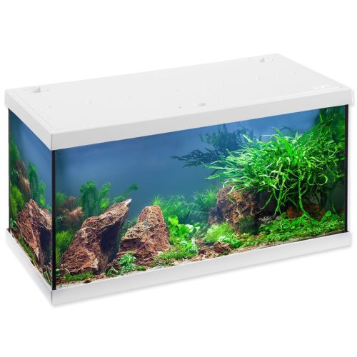 Akvárium szett Aquastar LED fehér 54 l