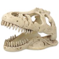 Repti Planet T-REX koponya dekoráció 13,3x8,5x9cm