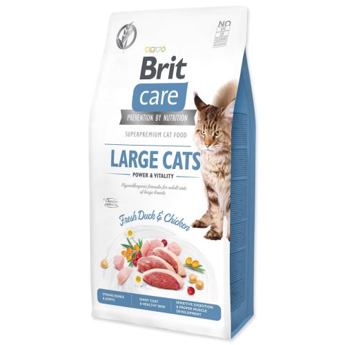 BRIT Care Cat Gabonamentes nagymacskák Power & Vitality 7 kg