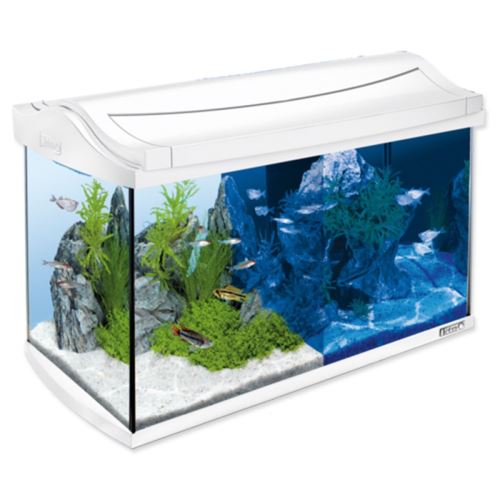 AquaArt LED fehér akváriumkészlet 57 x 30 x 35 cm 60 l